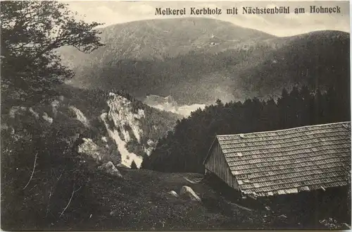 Melkerei Kerbholz mit Nächstenbühl am Hohneck -696888