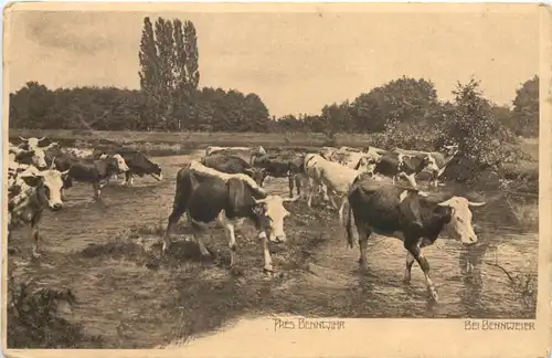 Pres Bennwihr - Bennweier -696926