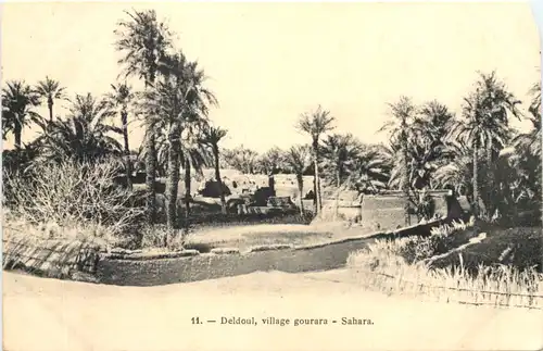 Deldoul - villagegourara Sahara -697060