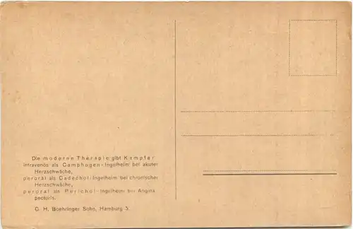 Formosa - Rohkampfergewinnung in den Bergen -697148