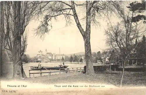Thun und die Aare -697276