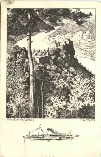 Ruine Aggstein Wachau -697412