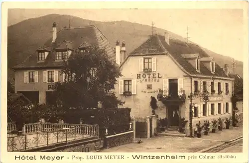 Wintzenheim pres Colmar - Hotel Meyer -697630
