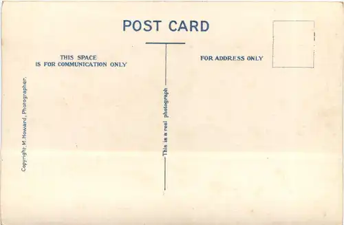 Aden - Group of Camels -697792