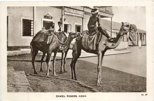 Aden - Camel riders -697812