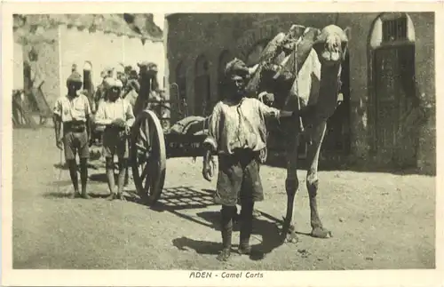 Aden - Camel Carts -697788