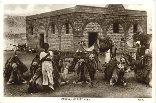 Aden - Caravan at Rest -697796