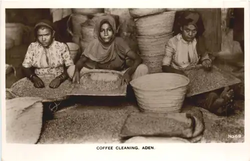 Aden - Coffee Cleaning -697802