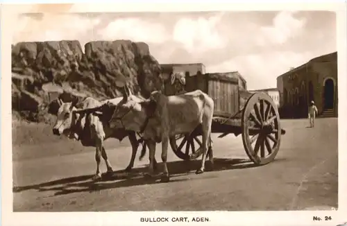 Aden - Bullock cart -697816