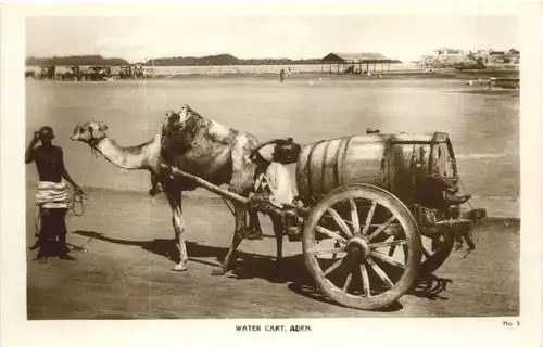 Aden - Water Cart -697794