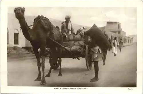 Maala Load Camels an Cart -697764