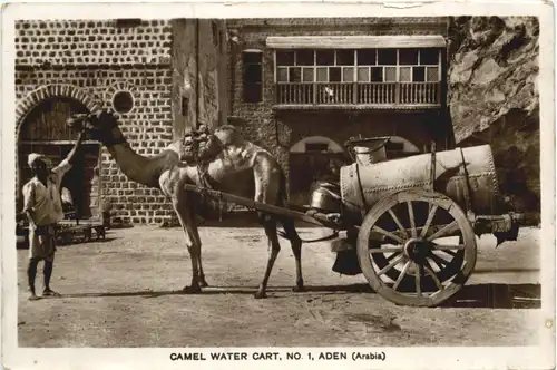 Aden - Camel water Cart -697814