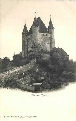 Schloss Thun -698040