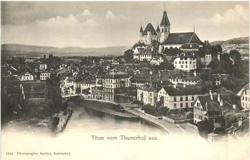 Thun vom Thunerhof aus -698096