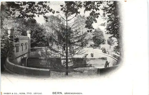 Bern - Bärengraben -698326