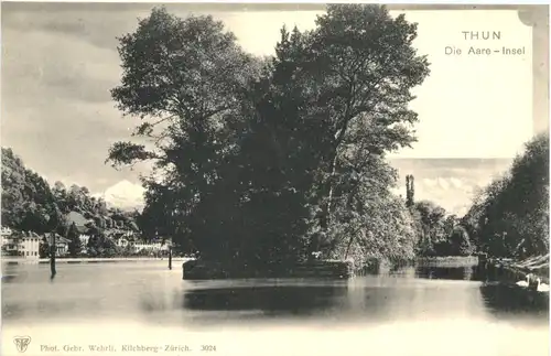 Thun - Aare Insel -698382