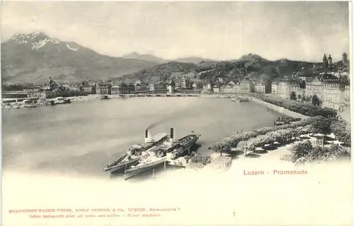 Luzern - Promenade -698476