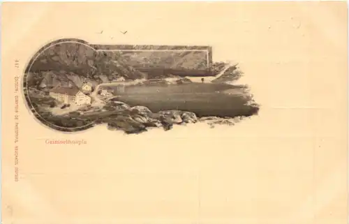 Grimselhospiz -698570