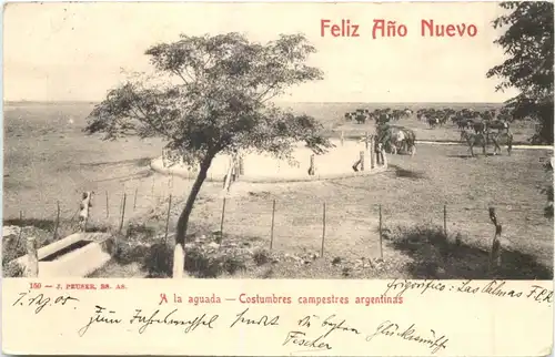 Argentina - A la aguada -699000