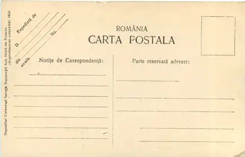 Sinaia - Castelul Pelis -699104