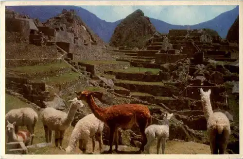 Peru - Machu Picchu -52004
