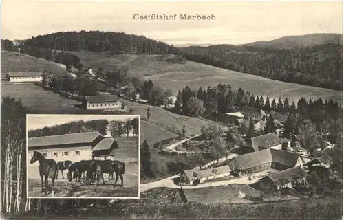 Gestütshof Marbach - Gomadingen -699354