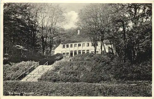 Riis Skov - Salonen -699952