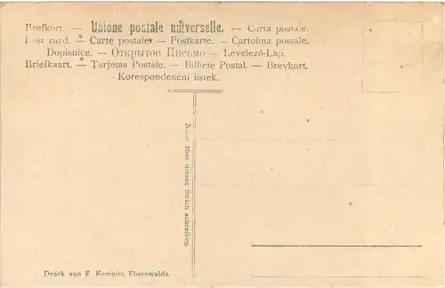 Damen Orchester Reymond -699878