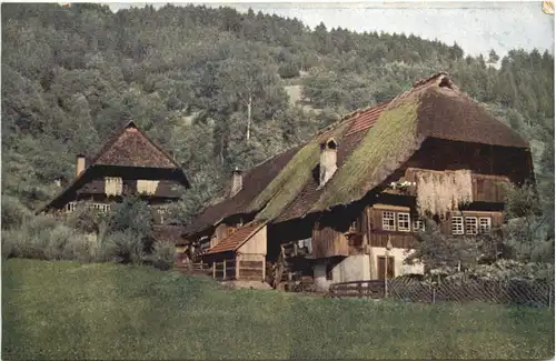 Schwarzwaldhaus im Gutachtal -700038