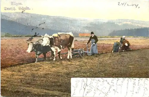 Landwirtschaft -699926