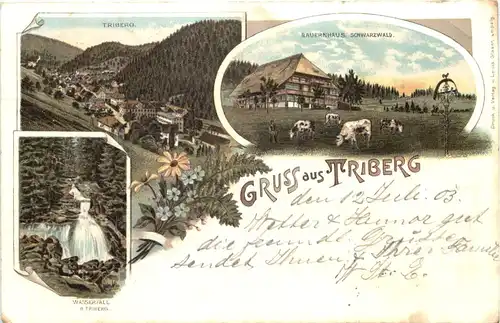 Gruss aus Triberg - Litho -699960