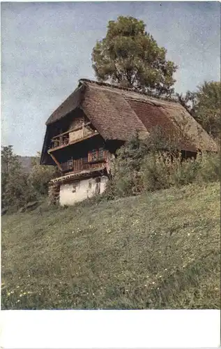 Schwarzwaldhaus im Gutachtal -700036