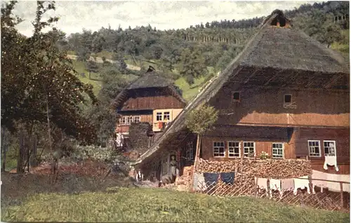 Schwarzwaldhaus im Kirnbachtal -700034