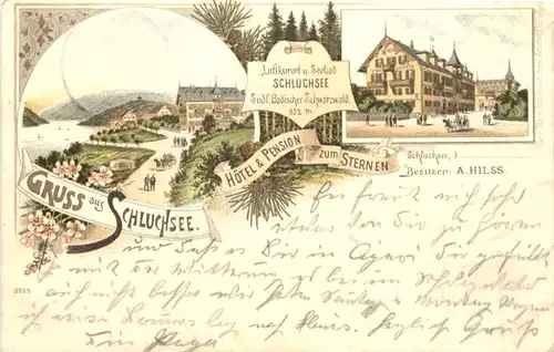 Gruss aus Schluchsee - Hotel zum Sternen - Litho -700190