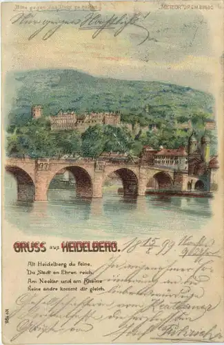 Gruss aus Heidelberg - Halt gegen Licht -700240