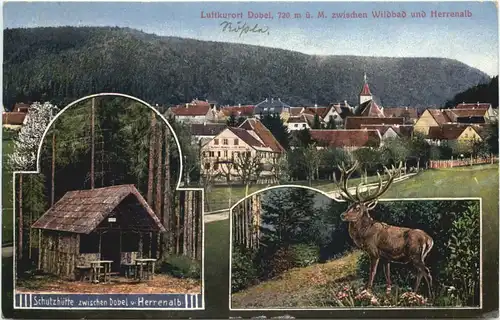 Dobel zwischen Wildbad und Herrenalb -700502