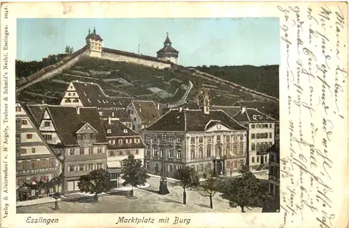 Esslingen - Marktplatz mit Burg -700466