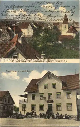 Gruss aus Schwann Schwarzwald - Straubenhardt -700566