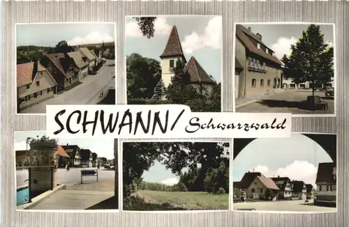 Schwann Schwarzwald - Straubenhardt -700564