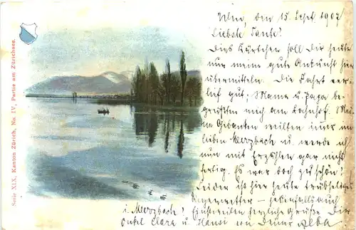 PArtie am Zürichsee -700992