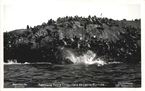 Argentina - Territorio Santa Cruz -701648