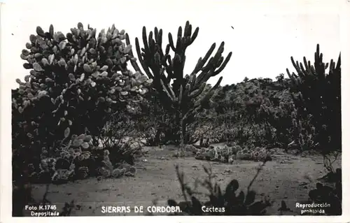 Argentina - Sierras de Cordoba -701660