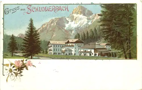 Gruss aus Schluderbach - Litho - Toblach -701908