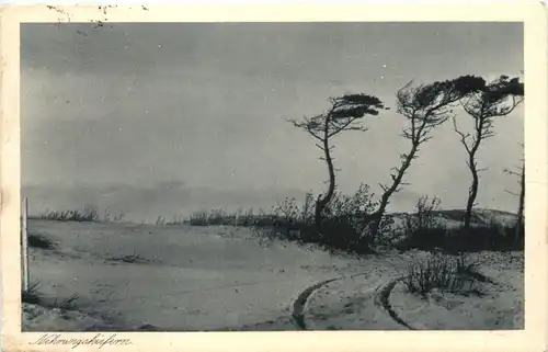 Kurische Nehrung - Ostpreussen -702044
