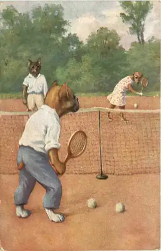 Hunde spielen Tennis -702236