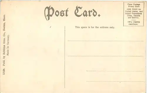 Burning of Rollins Ice Houses - Brewer -702658