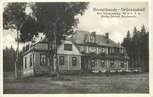 Dornstbaude - Gränzendorf - Johannesberg -702656