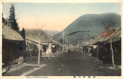 Japan - View of Hakone-machi -702808