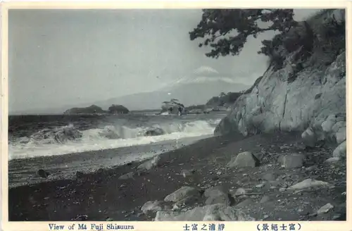 Mt. Fuji Shizuura -702800