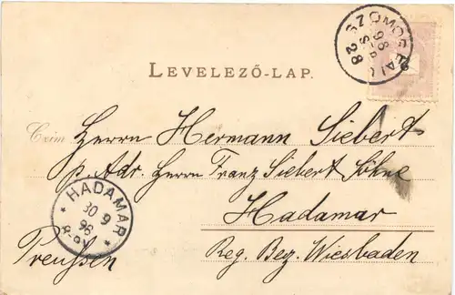 Ungarischer Bauer -703490